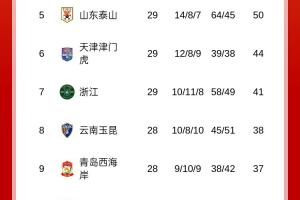 梅州先賽反超！中超積分榜：梅州、海牛積21分，相互戰(zhàn)績(jī)梅州占優(yōu)