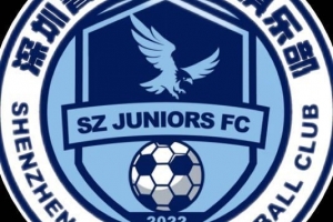 保級(jí)生死戰(zhàn)！深圳青年人官方：中甲末輪將開(kāi)放部分現(xiàn)場(chǎng)觀賽名額