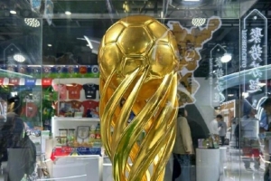 “蘇超”冠軍獎杯出現(xiàn)在進博會，成為吸引觀眾拍照打卡的亮點