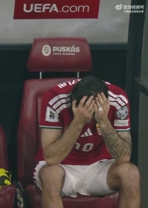 世界杯夢(mèng)碎??遭愛(ài)爾蘭絕殺，匈牙利隊(duì)長(zhǎng)索博斯洛伊賽后痛哭
