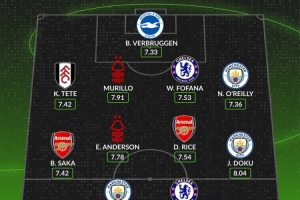 whoscored英超11月最佳陣：安德森、多庫領銜，哈蘭德、賴斯在列