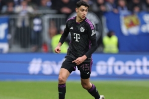 埃貝爾：帕夫洛維奇似乎是肌肉拉傷，希望他問題不大但我沒法診斷