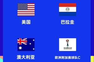 ESPN談世界杯D組：土耳其最可能獲得剩余名額，居萊爾PK普利西奇