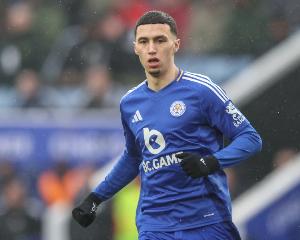 瑞天空：紐卡和水晶宮競爭埃爾哈努斯，但他冬窗不會離開斯圖加特