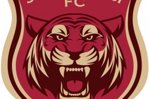 記者：上海嘉定匯龍確定搬去寧波，即將更名為寧波職業(yè)足球俱樂(lè)部