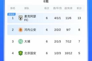 亞冠二級E組最終積分榜：國安1勝2平3負積5分墊底，無緣淘汰賽