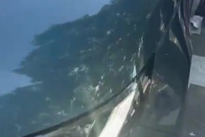 球迷堵在路上想讓萊萬(wàn)停車簽名，萊萬(wàn)不慣著差點(diǎn)撞到球迷??