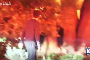 ??？波蒂斯：字母哥見義勇為是假的，要是真的早就有視頻了！