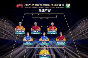 中超本賽季最佳陣容：法比奧、瓦科領(lǐng)銜，蓉城4人海港2人入選